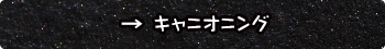 キャニオニング